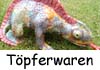 Toepfer